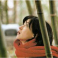 yegongfu